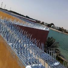 شركة مكافحة الحمام في صامطة