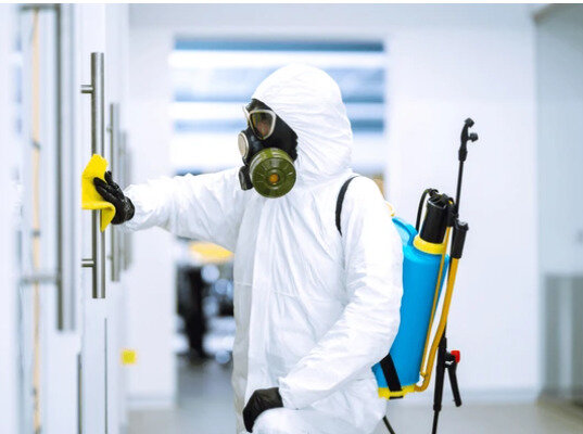 شركة مكافحة الحشرات في جيزان