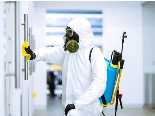 شركة مكافحة الحشرات في جيزان