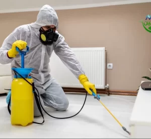 مكافحة الحشرات في جازان 3 شركات مكافحة الحشرات في جازان