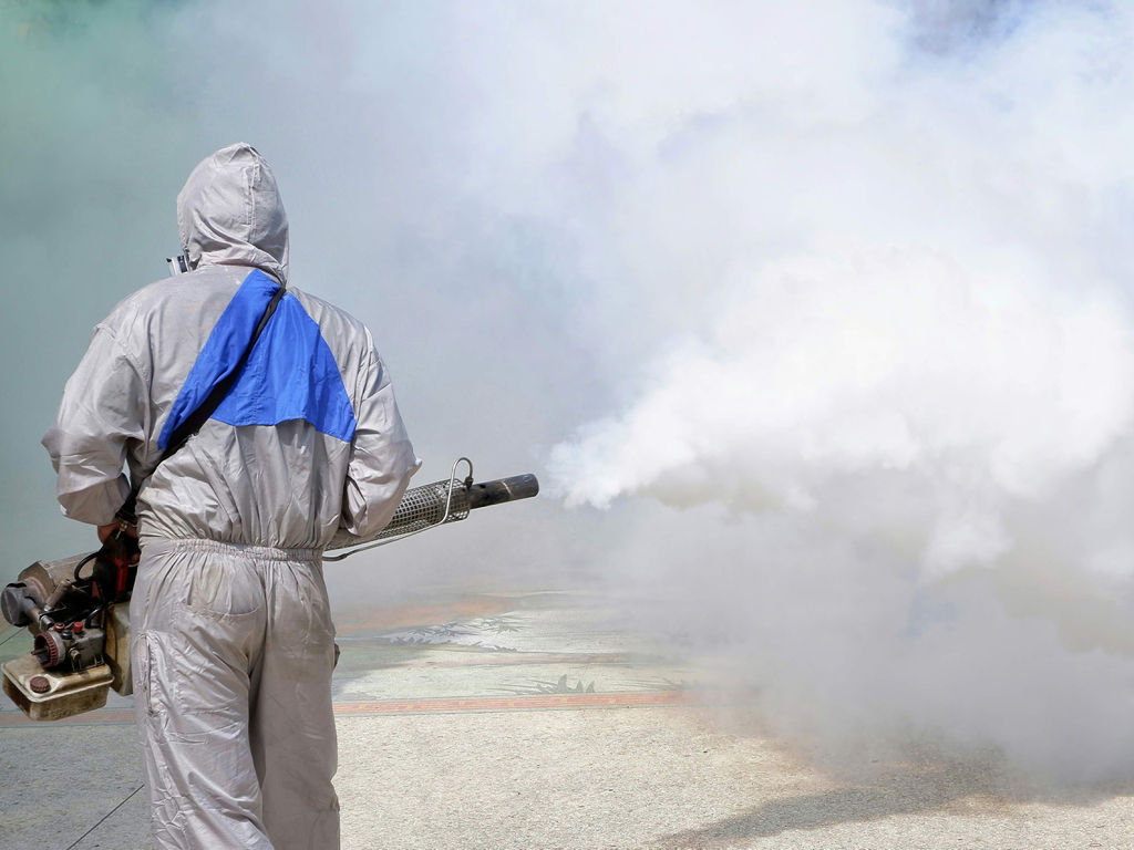 شركة تعقيم منازل في المضايا