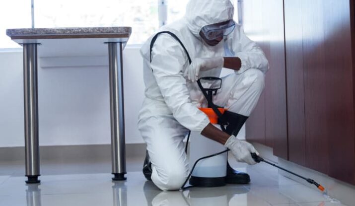 شركة تعقيم منازل في جيزان