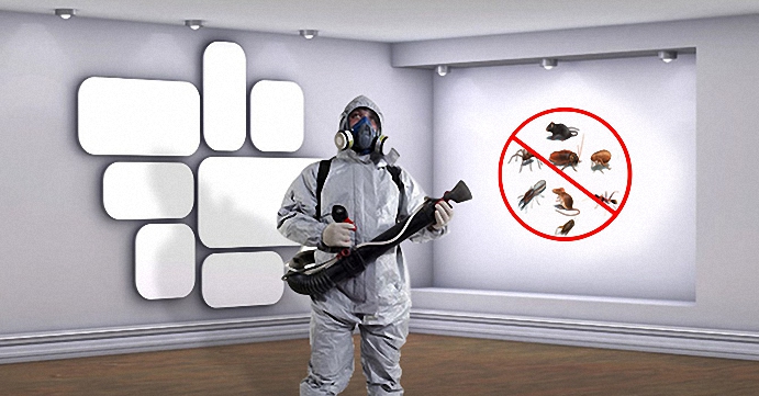 شركة مكافحة حشرات مطاعم في صامطة