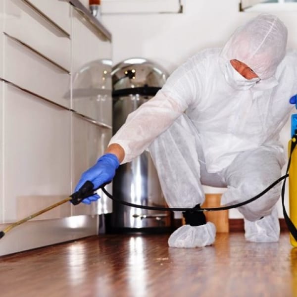 شركة مكافحة حشرات المطاعم في أحد مسارحة