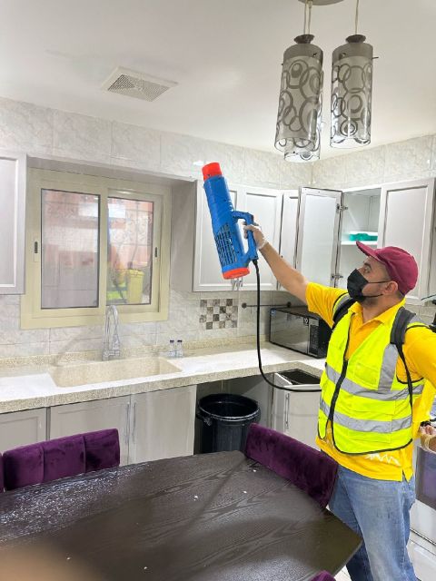 شركة مكافحة حشرات مطاعم في جازان