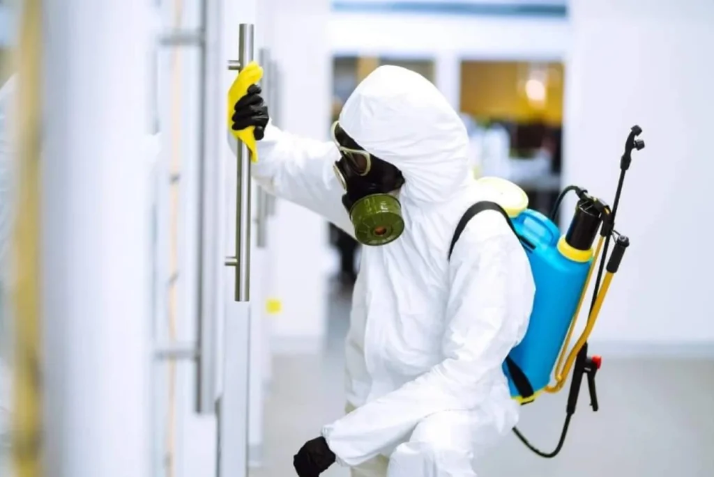 شركة مكافحة حشرات مطاعم في المضايا