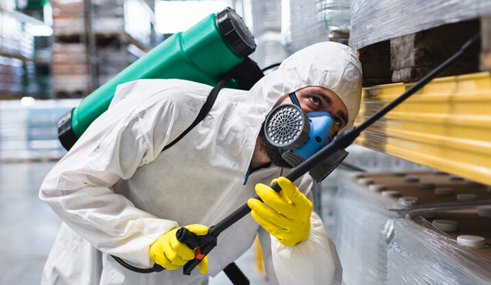 افضل شركة مكافحة حشرات وفئران في جيزان