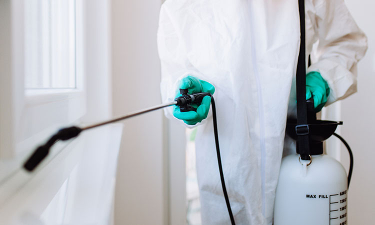 شركة مكافحة صراصير في المضايا