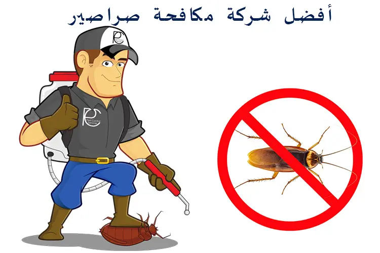 شركة مكافحة صراصير في صامطة