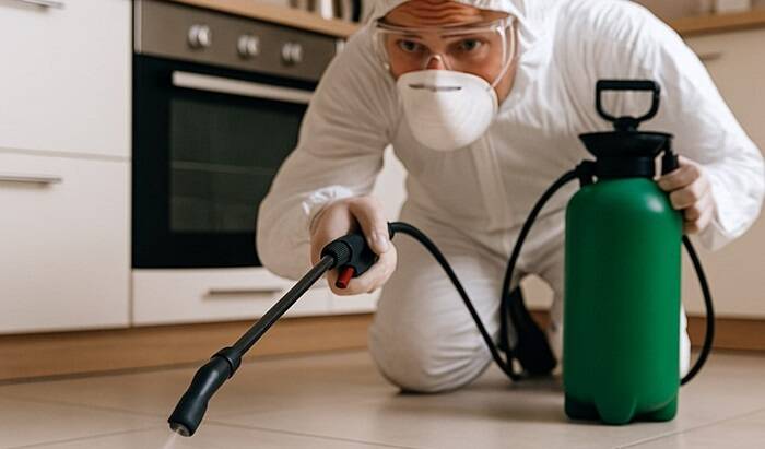 شركة مكافحة حشرات مطاعم في صبيا