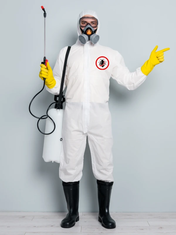 افضل شركة مكافحة حشرات وفئران في المضايا