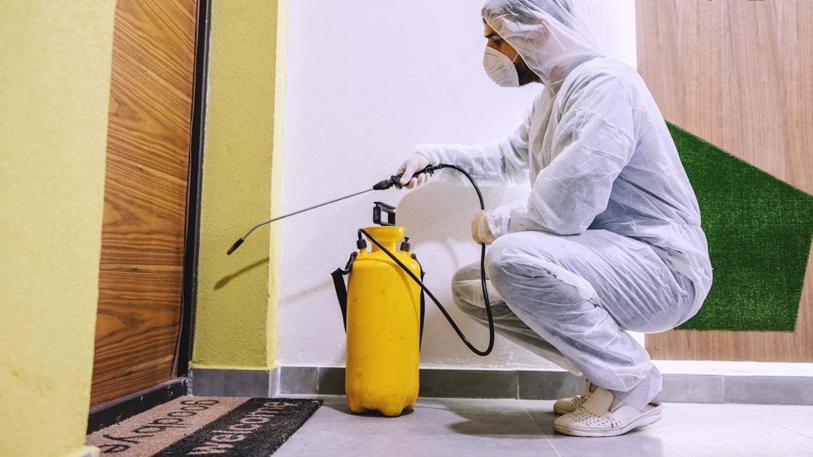 شركة مكافحة صراصير في المضايا