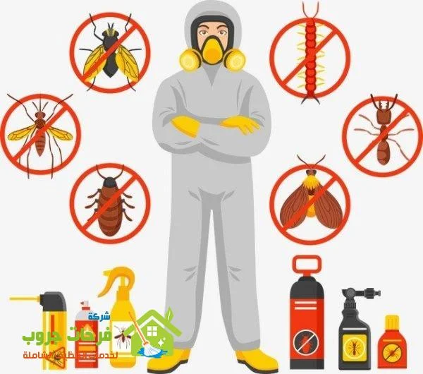 شركة مكافحة صراصير في جازان