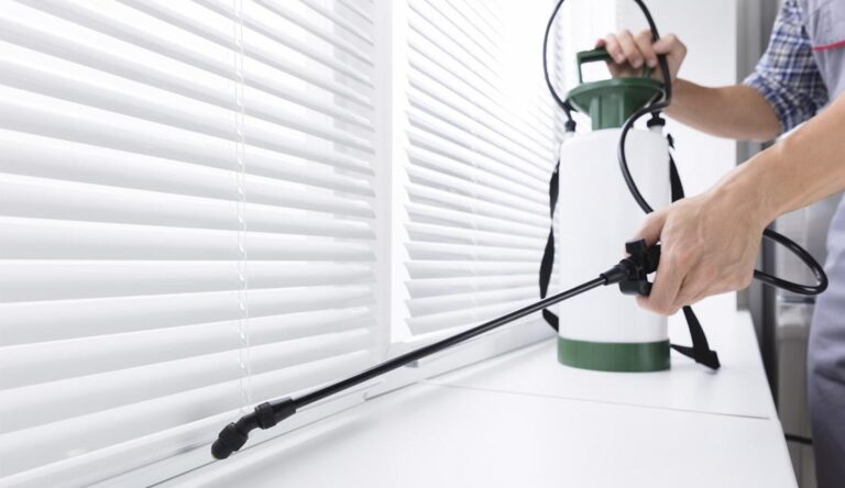 شركة مكافحة النمل الابيض بصامطة