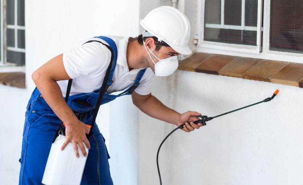 شركة مكافحة العتة بصبيا