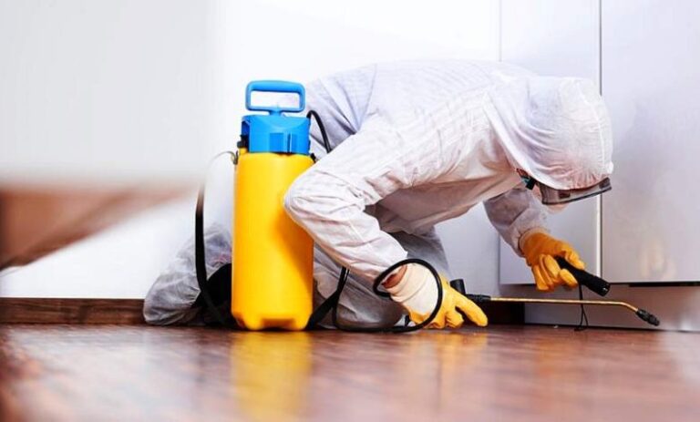 شركة مكافحة الناموس بجازان