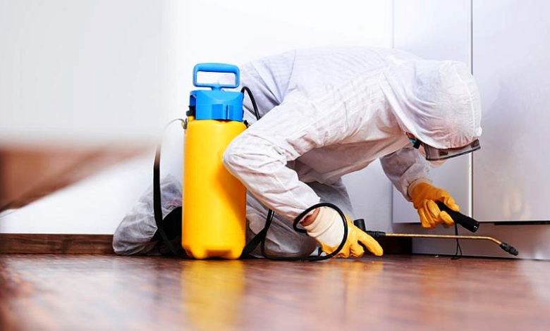 شركة مكافحة الناموس بجازان