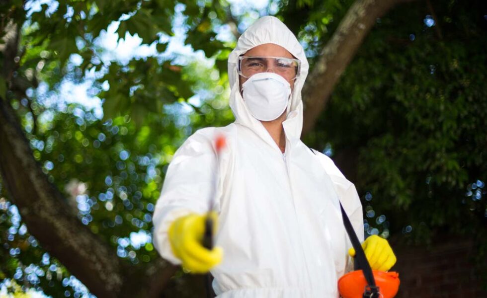 شركة مكافحة الفئران في جازان