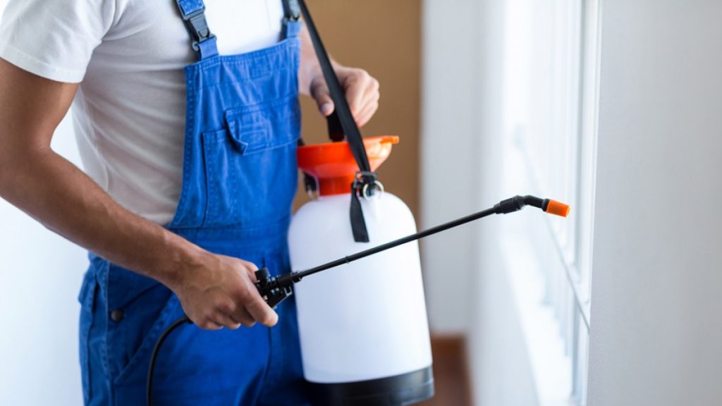 أفضل شركة مكافحة البرص في جازان